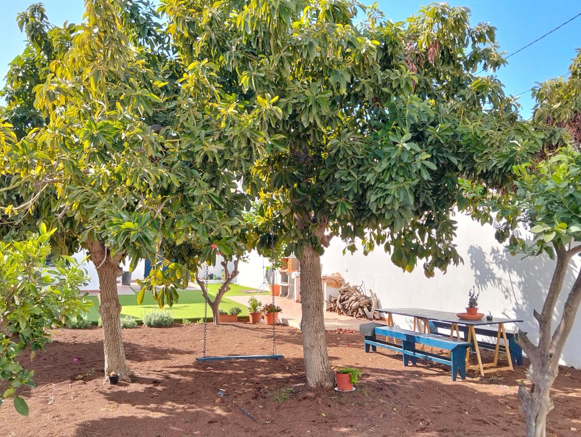 La Casita Βίλα Arafo Εξωτερικό φωτογραφία
